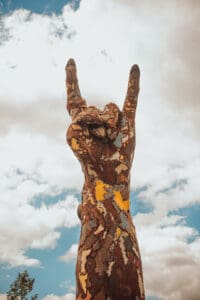 Hellfest-2019-photographe-©-Miss-Buffet-Froid-113.jpg